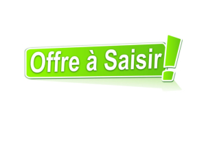 Offres à Saisir