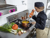 Mixeur plongeant professionnel Dynamic JUNIOR MX 225, 5 à 25 L