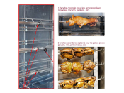 Station barbecue tourne-broche au feu de bois ST3