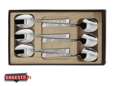 Coffret de 6 cuillères à café LE THIERS inox décor NATURA
