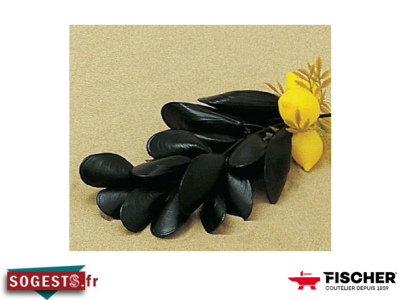 Petite grappe de moules avec citron