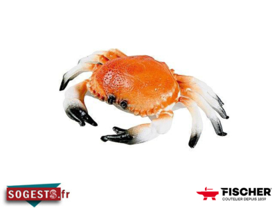 Crabe décoratif pour étals