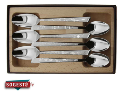 Coffret de 6 cuillères de table ( à soupe) inox LE THIERS décor NATURA