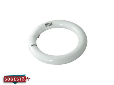 Tube néon circulaire anti-éclats synergétique pour désinsecteur AURA (lot de 2)