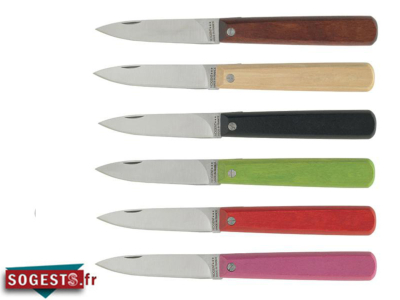 Boîte de 12 couteaux d'office fermant NOGENT Pocket manches bois couleurs assorties