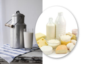 Transformation du lait