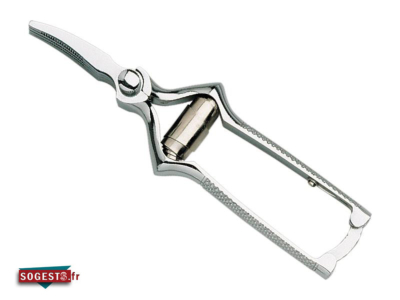 Masticateur Courbé Inox