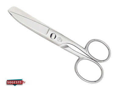 Ciseaux à Poisson Démontable 18 cm Inox